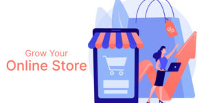 How to Grow Your Online Store of Tech Accessories in 2024